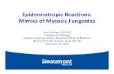 Epidermotropic Reactions: Mimics of Mycosis Fungoides 2019. 9. 26.آ  Epidermotropic Reactions: Mimics