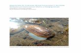 Opportunities for Freshwater Mussel Conservation in the Pacific … · 2020. 3. 25. · Freshwater mussels are one of the most endangered gro ups of species worldwide, with more than