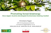 Promoting forest bioenergy · 2013. 5. 28. · Promoting forest bioenergy How Upper Austria developed its biomass heating market Christiane Egger OÖ Energiesparverband christiane.egger@esv.or.at