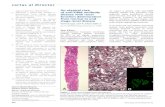 cartas al director - ISCIIIscielo.isciii.es/pdf/nefrologia/v34n5/carta11.pdf · Wieslander J. Epitope mapping of anti-glomerular basement membrane (GBM) antibodies with synthetic