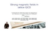 Strong magnetic fields in lattice QCDtheor.jinr.ru/.../2010/presentation/23sept/polikarpov.pdf · 2010. 9. 28. · 5. Generation of the anomalous quark electric dipole moment along