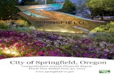 CITY OF SPRINGFIELD, OREGON · 2019. 1. 7. · SDC Transportation Improvement Fund 111 . City of Springfield, Oregon ... Booth Kelly Fund 120 Storm Drainage Reimbursement SDC Fund