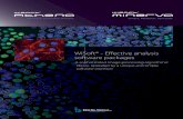 WiSoft® - Effective analysis software packages · 2015. 8. 12. · analysis software solutions, which provides a significant, sophisticated image processing algorithmic library,