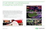 Cell DIVE multiplexed imaging solution · 2020. 7. 30. · cytiva.com Designed to deliver precise, robust results, the Cell DIVE™ multiplexed imaging solution is an integrated system