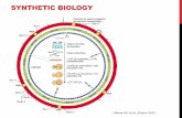 SYNTHETIC BIOLOGY - UZHffffffff-b34e-2810-ffff... · 2016. 5. 11. · SYNTHETIC BIOLOGY FOR DE NOVO ASSEMBLY OF MEMORY DEVICES – GLOSSARY (Non-)volatile memory – synthetic memory