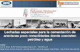 Juan B. Bravo - (UTE Petróleos Sudamericanos S.A. NECON S.A.) … · 2011. 8. 31. · Índice 1. Características litológicas de la formación 2. Problemas para la puesta en producción