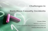 Challenges in Burn Mass Casualty Incidents - BACCN...Fluid resuscitation options • IV crystalloid Restrict to survivable burns >40% • Oral resuscitation For burns up to 40% Oral