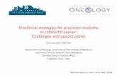 Preclinical strategies for precision medicine in colorectal ...winconsortium.org/files/O4.2-Preclinical-strategies-for...Francesca Cottino, Eugenia Zanella, Francesco Sassi, Giorgia