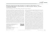 Raman Spectroscopy Study of Lattice Vibration and ...web.spms.ntu.edu.sg/~yuting/Publications/Publication 2013...©2013 Wiley-VCH Verlag GmbH & Co. KGaA, Weinheim wileyonlinelibrary.com