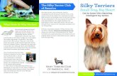 The Silky Terrier Club Silky Terriers of America Small Dog ...silkyterrierclubofamerica.org/resources/STCA Meet...Apr 19, 2011  · in 1954 when an adorable Silky Terrier pup appeared