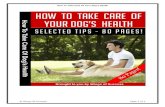 How To Take Care Of Your Dog's Health