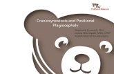 Craniosynostosis and Positional Plagiocephaly · 2020. 8. 25. · Craniosynostosis and Positional Plagiocephaly . Stephanie Gurevich, PA-C. Jessica Wisniewski, MSN, CPNP. Department