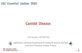 Carotid Disease - InspireMD...Carotid revascularization, on top of pharmacotherapy, continues to effectively prevent strokes in ’asymptomatic’ carotid stenosis many years after