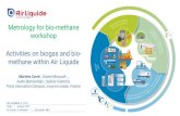 Metrology for bio-methane workshop Activities on biogas and bio- …empir.npl.co.uk/biomethane/wp-content/uploads/sites/28/... · 2019. 5. 1. · I AIR LIQUIDE, THE WORLD LEADER IN