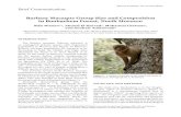 African Primates Brief Communication - Barbary Macaque ......Chait. 2013. A survey of the Endangered Barbary macaque Macaca sylvanus in the Central High Atlas Mountains of Morocco.
