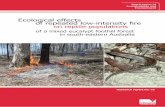 Forest Fire Management Victoria - SINGLE AND REPEATED … · 2017. 2. 20. · iv 66. Effects of repeated low-intensity fire on tree growth and bark in a mixed eucalypt foothill forest