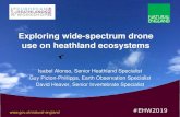 Exploring wide-spectrum drone use on heathland ecosystems · 2019. 10. 1. · use on heathland ecosystems Isabel Alonso, Senior Heathland Specialist Guy Picton-Phillipps, Earth Observation