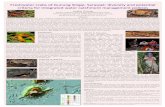 Freshwater crabs of Gunung Singai, Sarawak: diversity and ...mrgibec.weebly.com/uploads/1/4/2/7/14276102/poster_1.pdfSome aspects of the ecology of the freshwater crab (Potamonautes