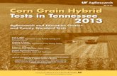 RR 14-02 Corn Grain Hybrid Tests in Tennessee 2013...RR 14-02 Corn Grain Hybrid Tests in Tennessee 2013 AgResearch and Education Centers and County Standard Tests Fred L. Allen Coordinator,