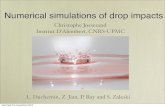 Christophe Josserand Institut D’Alembert, CNRS UPMCgfs.sourceforge.net/papers/GUM2014/josserand.pdf · 2014. 11. 25. · Numerical simulations of drop impacts Christophe Josserand
