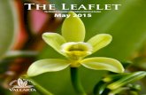 The Leaflet - Vallarta Botanical Gardens€¦ · The Leaflet May 2015 The Monthly Magazine of the Vallarta Botanical Garden . Publisher & Senior Editor: Neil Gerlowski Co-Editor: