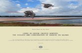 Living in human created habitats: the - Estudo Geral...Living in human created habitats: the ecology and conservation of waders on salinas Affiliations and addresses of co-authors: