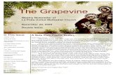 The Grapevine...The angels first appeared to the shepherds who were attending their sheep on a cool quiet night. Suddenly, a bright light appeared and the Angels came forth singing,