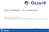 User Interface: UI commands• How to define custom commands can be found at the User Interface - Defining New Commands subsection • One can use the application to get a list of