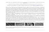 PRINTING OF NANOSILVER PARTICLES WITH …impascience.eu/bioencapsulation/340_contribution_texts/2008-04-25_P23.pdfpigment Bezaprint rot (Bezema, Switzerland) was added to printing