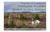Community Woodland Scottish Borders, Scotland...Various groups of people (e.g., school children, scout groups, sport groups and mental health groups) have assisted in tree planting.
