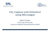 CO2 Capture and using Microalgae · 2011. 10. 9. · ‐lipid extraction and conversion to biodiesel and diesel range hydrocarbons has been demonstrated • At present, the economics