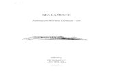 Sea Lamprey: Petromyzon marinus Linnaeus 1758...landlocked sea lamprey is not native to the upper Great Lakes, although it is believed to have originated in Lake Ontario and accessed