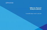 Micro Focus RM/COBOL€¦ · This document describes CodeBridge, RM/COBOL’s cross-language call system that is designed to simplify communication between RM/COBOL programs and non-COBOL
