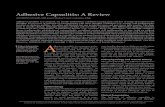 Adhesive Capsulitis: A Review - AAFP Home · 2011. 2. 15. · Adhesive Capsulitis: A Review ANTHONY EWALD, MD, Grant Medical Center, Columbus, Ohio dhesive capsulitis is a common,