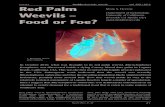 Hoddle: Red Palm S. H ODDLE - CISR: CISR · 2015. 3. 30. · PALM S Hoddle: Red Palm Weevils Vol. 59(1) 2015 21 Red Palm Weevils – Food or Foe? MARK S. H ODDLE Department of Entomology,