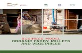 BUSINESS MODEL ORGANIC PADDY, MILLETS AND VEGETABLES · 2021. 1. 6. · 2 Business Model on Organic Paddy, Millets and Vegetables 1.3 Organic Production in India There are three categories
