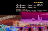 TECO 東元電機 - Advantage IEC Advantage+...TECO offers a total performance package of cast iron motors, from normal standard efficiency up to high performance premium efficiency.