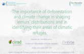 The importance of deforestation and climate change in shaping … · 2019. 11. 19. · The importance of deforestation and climate change in shaping lemurs’ distributions and in