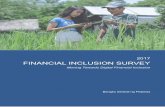 2017 FINANCIAL INCLUSION SURVEY Finance/Financial...4 SES FinInc Form No. 03-003 * Version 0 * Updated 29 Jun 2017 Data disaggregation revealed the segments of the population that