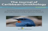 The Journal of Caribbean Ornithology · Ornithology Page 17 Methods Study Sites The Blue and John Crow Mountains, located in eastern Jamai-ca, consist of dense mountain rainforests