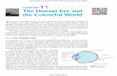 VAGA Study – Free PDFs · 2020. 3. 21. · are (i) myopia or near-sightedness, (ii) Hyper metropia or far - sightedness, and (iii) Presbyopia. These defects can be corrected by