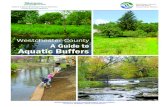 Westchester County A Guide to Aquatic Buffers...importance of establishing, maintaining, and enhancing vegetated buffers along streams, rivers, lakes, ponds and wetlands. Aquatic buffers