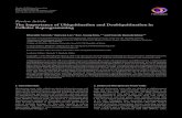 Review Article The Importance of Ubiquitination and … · 2019. 7. 30. · Review Article The Importance of Ubiquitination and Deubiquitination in Cellular Reprogramming BharathiSuresh,