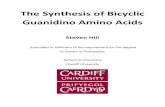 The Synthesis of Bicyclic Guanidino Amino Acidsorca.cf.ac.uk/42018/1/2012Hillsphd.pdf · 2.4 Synthesis of AH-2-P via chiral glycine enolate 83 2.4.1 TBS Cleavage 84 2.4.1.1 TBAF de-protection