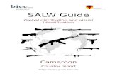 Cameroon - SALW Guide...AR 15 (M16/M4) U Browning M 2 G DShk G FN FAL G FN Herstal FN MAG G FN High Power U HK 21 G HK 23 U HK G3 G HK MP5 G IWI Tavor TAR-21 G M203 grenade launcher