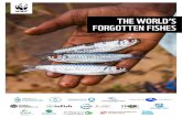 THE WORLD’S FORGOTTEN FISHES · 2021. 2. 18. · Castello, Vidyadhar Atkore, Thadoe Wai, Simon Funge-Smith, John Jorgensen, Naren Sreenivisan, Mark Lloyd, Arlin Rickard and Matt