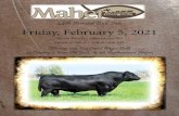 44th Annual Bull Sale Friday, February 5, 2021 · 2021. 1. 13. · Maher Angus Ranch • Page 1 AnnuAl production sAle Friday, February 5, 2021 1:00 p.m. MT• At The Ranch • Morristown