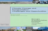 Climate Change and Transportation: Challenges and ...utc.gatech.edu/sites/default/files/u46/Schmidt_Climate Change and.pdf · Transportation Systems and Infrastructure: Gulf Coast