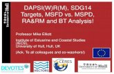 DAPSI(W)R(M), SDG14 Targets, MSFD vs. MSPD, RA&RM and BT Analysis! · 2017. 2. 24. · DAPSI(W)R(M), SDG14 Targets, MSFD vs. MSPD, RA&RM and BT Analysis! Professor Mike Elliott Institute