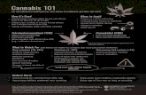 Cannabis Infographic (BW) - University of Waterloo · Cannabidiol (CBD) Makes some people high Stimulates appetite More cognitive side effects than CBD (e.g., confusion, drowsiness)